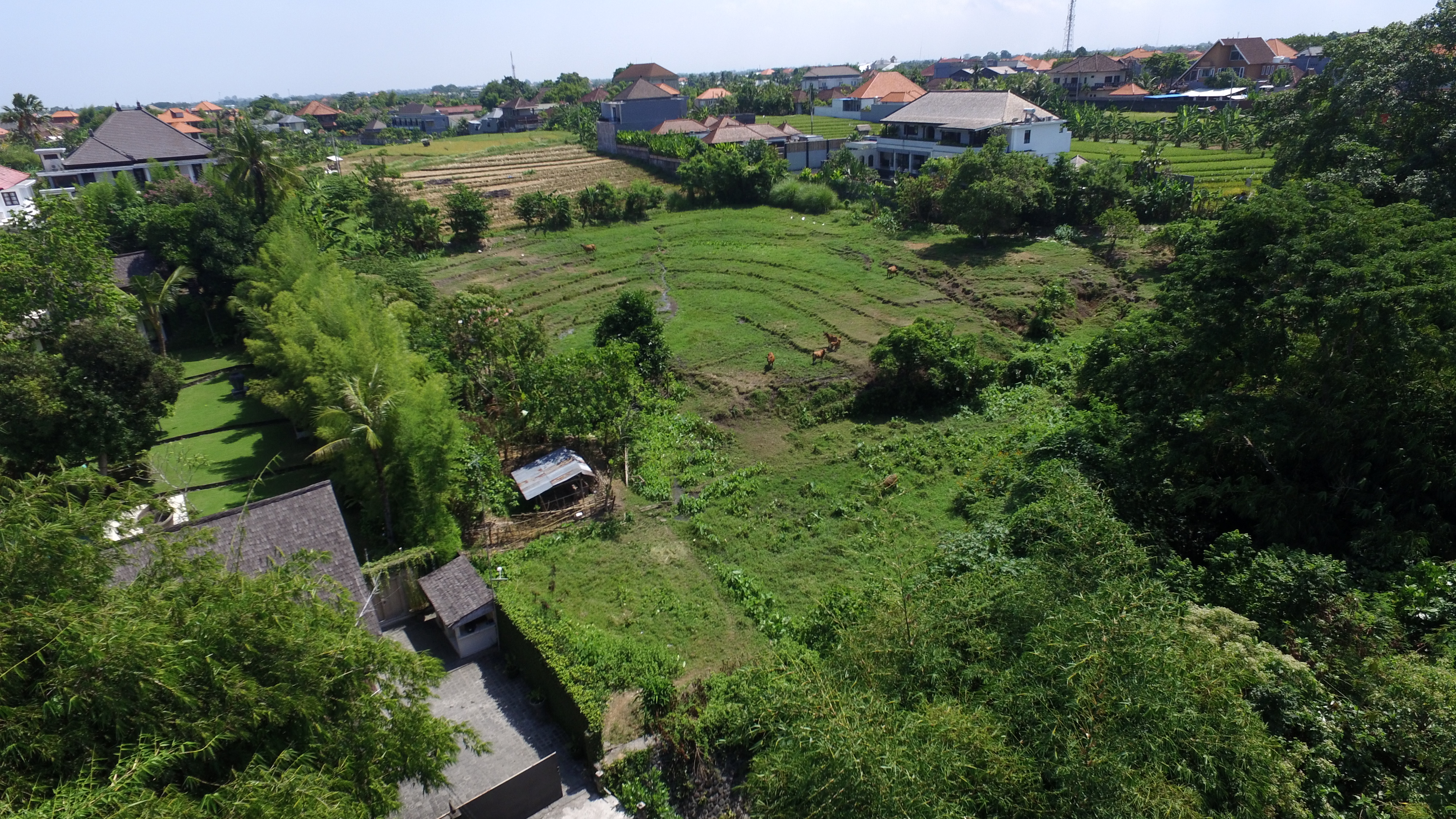 land-flCanggu2